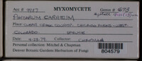 Image Associated With the Occurence